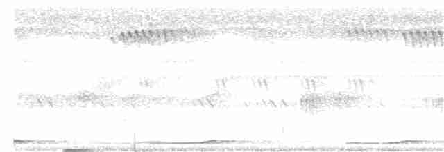 Сова-голконіг далекосхідна - ML169392271