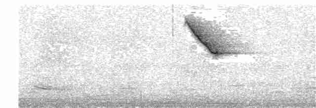 Fan-tailed Warbler - ML169392651