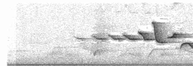 Fan-tailed Warbler - ML169393161