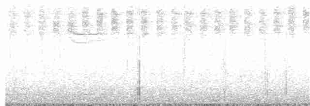 Blue-gray Tanager (White-edged) - ML169403611