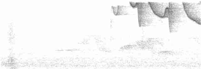 Gray-headed Tanager - ML169441371