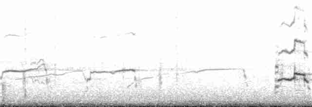 orel bělohlavý - ML169491341