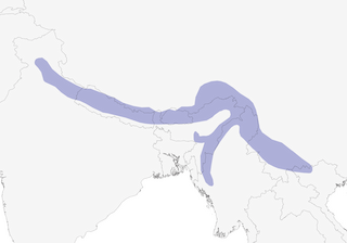 Distribution of the Hill Partridge - Range Map