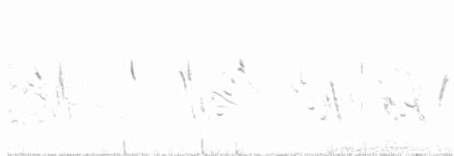 Бурогрудый подорожник - ML169558301