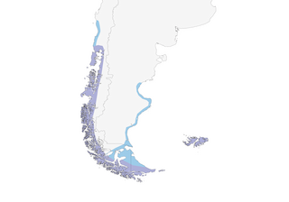 Distribution of the Kelp Goose - Range Map