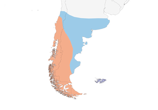 Distribution of the Upland Goose - Range Map
