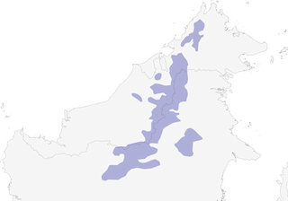 Distribution of the Crimson-headed Partridge - Range Map