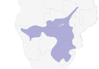 Distribution of the Swainson's Francolin - Range Map