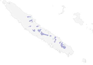 Distribution of the Kagu - Range Map