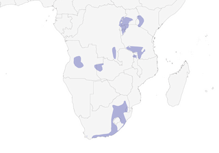 Distribution of the Red-winged Francolin - Range Map