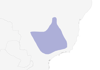 Distribution of the Dwarf Tinamou - Range Map