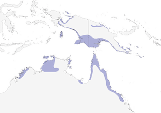 Distribution of the Torresian Imperial-Pigeon (Torresian) - Range Map