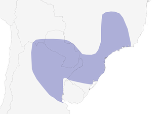 Distribution of the Sickle-winged Nightjar - Range Map