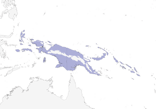 Distribution of the Moustached Treeswift - Range Map