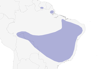 Distribution of the Horned Sungem - Range Map
