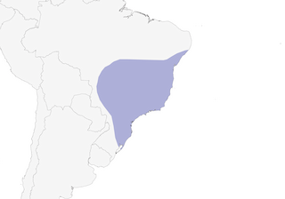 Distribution of the Frilled Coquette - Range Map