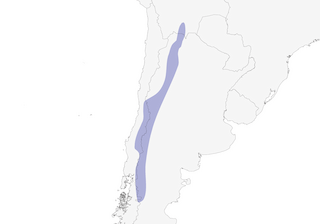 Distribution of the White-sided Hillstar - Range Map