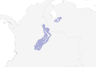 Distribution of the Coppery-bellied Puffleg - Range Map
