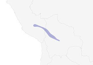 Distribution of the Gould's Inca - Range Map