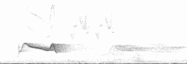 Чагарниця чорнохвоста - ML169635