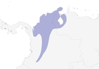 Distribution of the Shining-green Hummingbird - Range Map