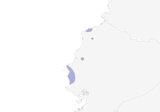 Distribution of the Esmeraldas Woodstar - Range Map