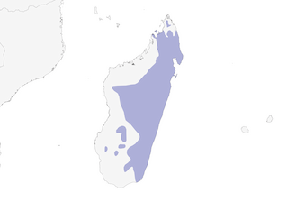 Distribution of the Red-fronted Coua - Range Map