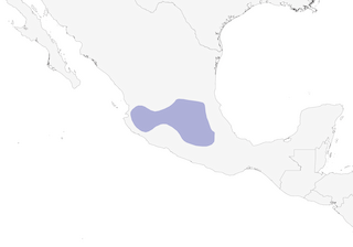 Distribution of the Aztec Rail - Range Map