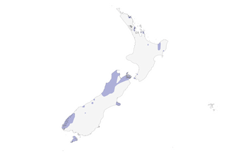 Distribution of the Weka - Range Map