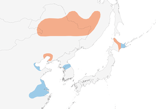 Distribution of the Red-crowned Crane - Range Map