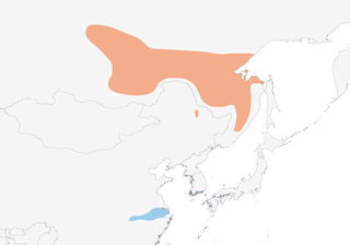 Distribution of the Hooded Crane - Range Map