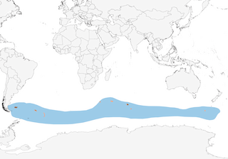Distribution of the King Penguin - Range Map