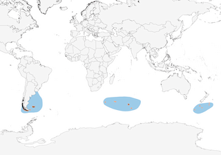Distribution of the Southern Rockhopper Penguin - Range Map