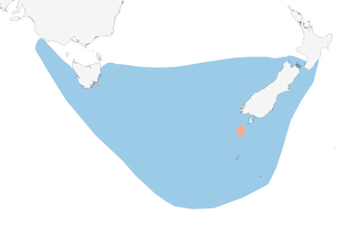 Distribution of the Snares Penguin - Range Map