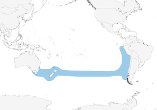 Distribution of the Buller's Albatross - Range Map