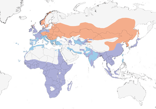Distribution of the Gray Heron - Range Map