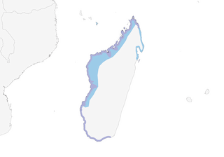 Distribution of the Humblot's Heron - Range Map