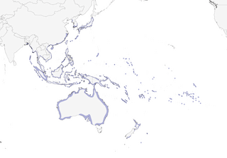Distribution of the Pacific Reef-Heron - Range Map