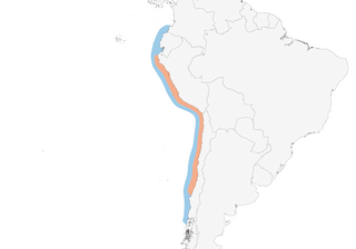 Distribution of the Peruvian Booby - Range Map