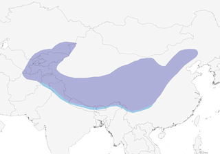 Distribution of the Ibisbill - Range Map