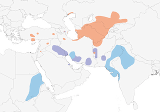 Distribution of the White-tailed Lapwing - Range Map