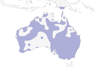Distribution of the Red-kneed Dotterel - Range Map