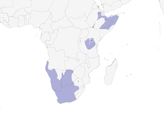 Distribution of the Double-banded Courser - Range Map