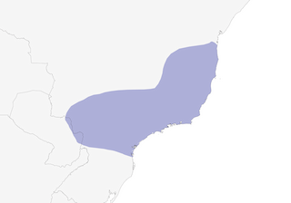 Distribution of the Least Pygmy-Owl - Range Map