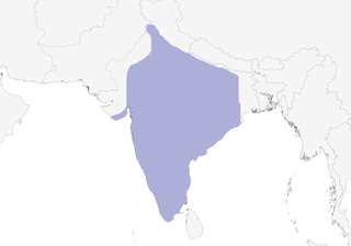 Distribution of the Mottled Wood-Owl - Range Map