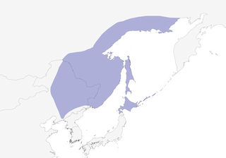 Distribution of the Blakiston's Fish-Owl - Range Map
