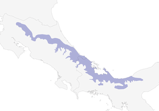 Distribution of the Lattice-tailed Trogon - Range Map
