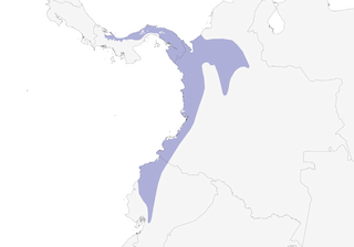 Distribution of the White-tailed Trogon - Range Map