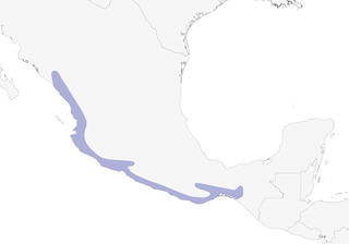 Distribution of the Citreoline Trogon - Range Map