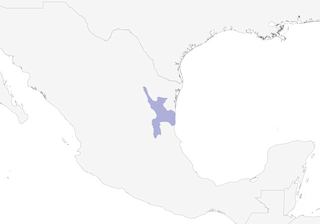 Distribution of the Blue-capped Motmot - Range Map